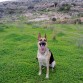 Yuli en el Campo.